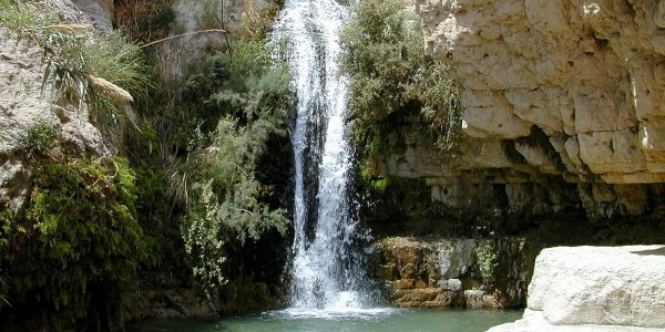 	En Gedi Waterfall<br>
	
